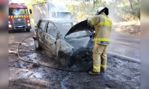 
						
							Veículo fica destruído em incêndio na rodovia PR- 495
						
						