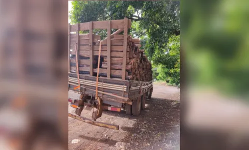 
							PRF apreende caminhão com mais de R$ 9 mil em débitos em Apucarana
						
						