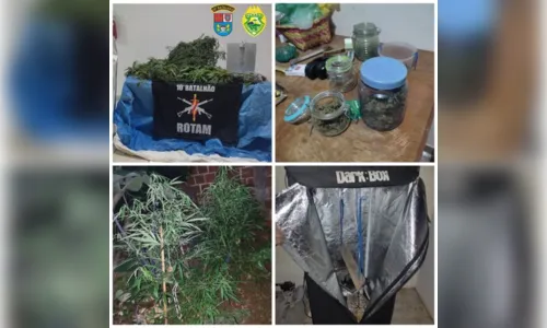 
						
							Dupla é presa por cultivar maconha no quintal, em Apucarana
						
						