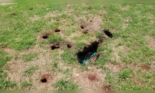 
						
							Moradora grava infestação de ratos no centro de Apucarana; veja
						
						