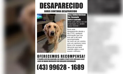 
						
							Família pede ajuda para encontrar cachorro desaparecido em Arapongas
						
						