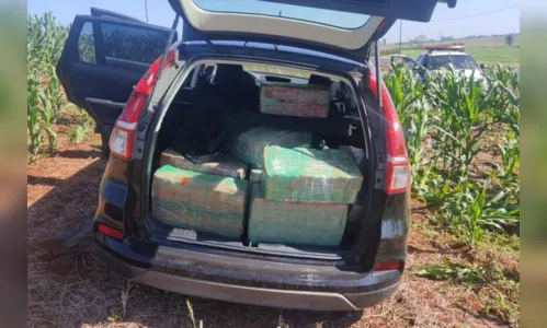 
						
							PM prende jovem de 19 anos com 450 quilos de maconha no Vale do Ivaí
						
						