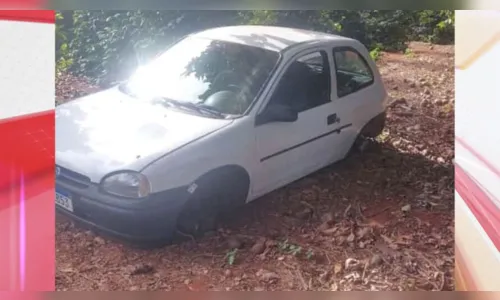 
						
							Carro furtado é encontrado “depenado” em meio a cafezal em Apucarana
						
						