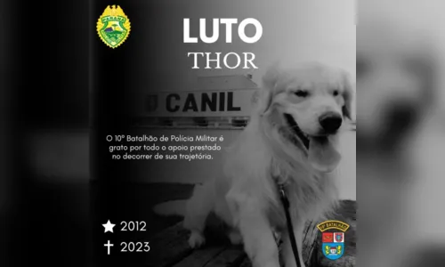 
						
							Thor, primeiro cão a integrar o Canil de Apucarana, morre aos 11 anos
						
						