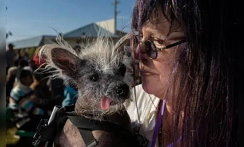 
						
							Concurso elege os cães mais feios do mundo; veja alguns vencedores
						
						