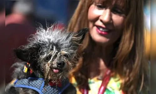 
						
							Concurso elege os cães mais feios do mundo; veja alguns vencedores
						
						