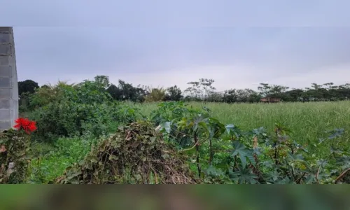 
						
							Corpo é encontrado dentro de uma mala em terreno no Paraná
						
						