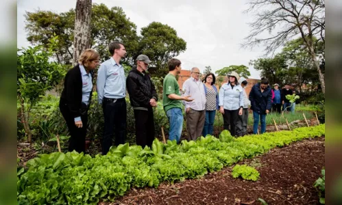 
						
							Horta solidária inicia processo de certificação de cultivo orgânico
						
						