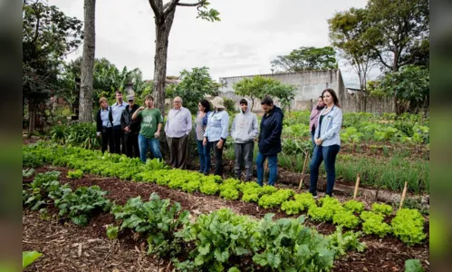 
						
							Horta solidária inicia processo de certificação de cultivo orgânico
						
						