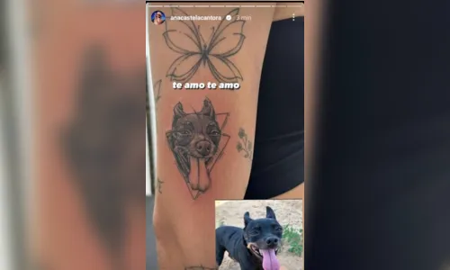 
						
							Apaixonada, Ana Castela faz tatuagem e exibe resultado: ''Te amo''
						
						