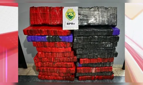 
						
							Após perseguição, Polícia Rodoviária apreende 204 kg de maconha no PR
						
						