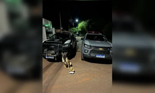 
						
							Bandidos furtam relógios e picanha em Apucarana; Rotam prende dois
						
						