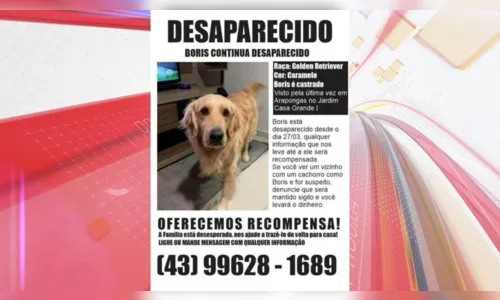 
						
							Família oferece R$ 10 mil para quem encontrar cachorro desaparecido
						
						