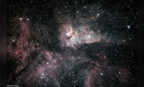 
						
							'Supertelescópio' é utilizado na UTFPR de Apucarana; veja imagens
						
						