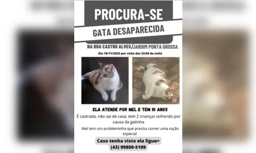 
						
							Família pede ajuda para encontrar gata desaparecida em Apucarana
						
						