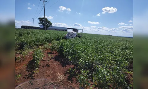 
						
							Câmera flagra capotamento na PR-466 em Ivaiporã; veja
						
						