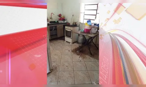 
						
							Crianças são resgatadas de casa insalubre em Sarandi; veja fotos
						
						