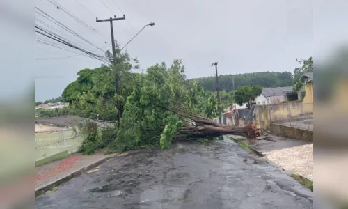 
						
							Temporal provoca estragos em Apucarana e na região; veja vídeo
						
						