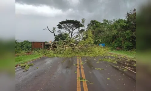 
						
							Temporal com granizo atinge Apucarana; veja imagens
						
						