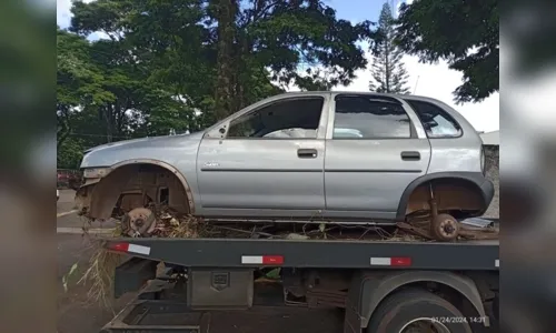 
						
							Três carros 'depenados' são recuperados pela PM em Apucarana; vídeo
						
						