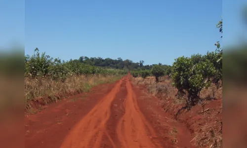 
						
							Vulcão em Apucarana? Veja o que é verdade ou mentira na história
						
						