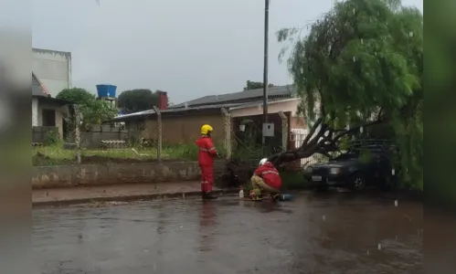 
						
							Temporal causa prejuízos na região de Ivaiporã
						
						