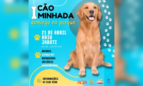 
						
							Apucarana terá 'Cãominhada' no Parque Jaboti no próximo domingo (21)
						
						