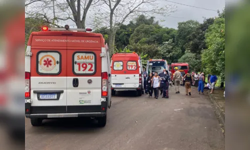 
						
							Ônibus escolar tomba com estudantes em Apucarana
						
						