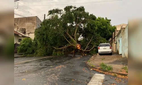 
						
							Oito vezes que eventos climáticos assustaram a região
						
						