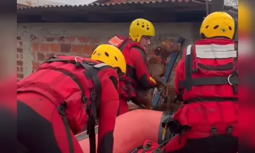 
						
							Bombeiro de Apucarana relata desafios no resgate no RS
						
						