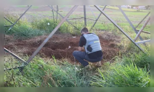 
						
							Cachorro cava buraco e encontra corpo de jovem desaparecida no PR
						
						