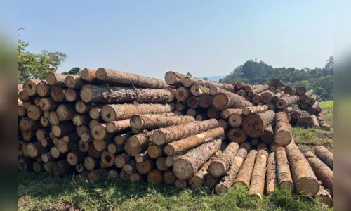
						
							Operação remota contra desmatamento aplica R$ 5,9 milhões em multas
						
						
