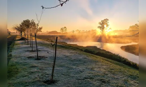 
						
							Menor temperatura do Paraná é registrada em Palmas
						
						