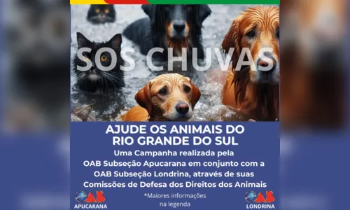 
						
							OAB Apucarana faz campanha para ajudar animais no RS; saiba mais
						
						