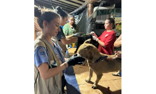 
						
							Paranaenses atendem mais de mil animais resgatados no RS
						
						