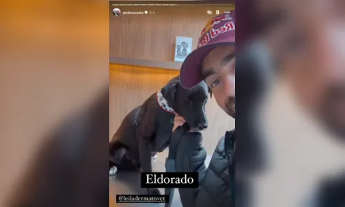 
						
							Pedro Scooby retorna para casa após resgates no RS e adota cachorro
						
						