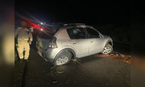 
						
							Motorista desvia de cavalo na pista e capota veículo na BR-376
						
						