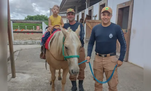 
						
							Cavalos colaboram para a qualidade de vida de pessoas com deficiência
						
						