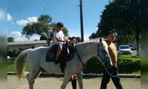 
						
							Cavalos colaboram para a qualidade de vida de pessoas com deficiência
						
						