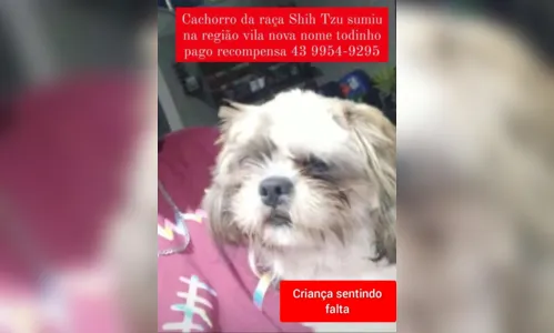 
						
							Família de Apucarana pede ajuda para encontrar cachorro desaparecido
						
						