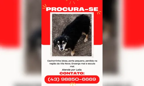
						
							Família pede ajuda para encontrar cachorrinha idosa em Apucarana
						
						
