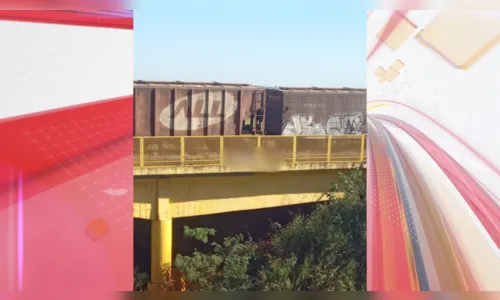 
						
							Idoso morre ao ser atingido por trem no viaduto da BR-376 em Cambira
						
						