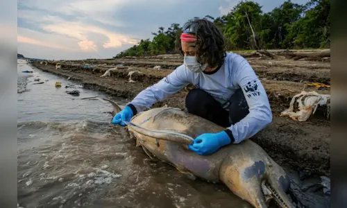 
						
							Mudanças climáticas já interferem em secas e cheias na Amazônia
						
						