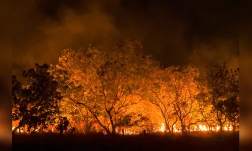 
						
							Mudanças climáticas já interferem em secas e cheias na Amazônia
						
						