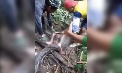 
						
							Mulher atacada por píton: como é possível serpente engolir humanos?
						
						