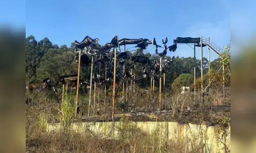 
						
							Fogo atinge tobogã de antigo parque aquático em Apucarana; veja
						
						