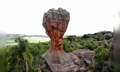 
						
							Conheça 11 pontos turísticos para visitar no Paraná
						
						