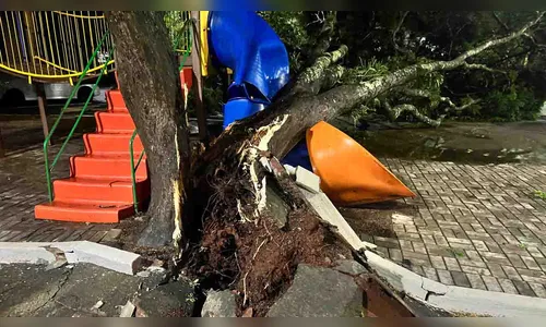 
						
							Temporal derruba árvore e atinge playground infantil em Jardim Alegre
						
						