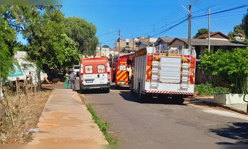 
						
							Caminhão de coleta de lixo bate em árvore e galho atinge trabalhador
						
						