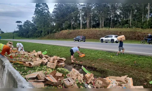 
						
							Caminhão tomba no PR e populares se arriscam para saquear mangas
						
						